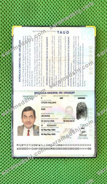 Uruguay passport photo look